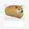 Shiba Inu Bread Meme