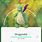 Shiny Dragonite Pokemon Go