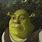 Shrek Smile Meme GIF