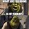 Shrek This Is My Swamp Meme