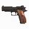 Sig Sauer P226 22LR