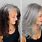 Silver Hair vs Gray Hair