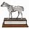 Silver Horse Show Trophy