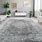 Silver Rugs for Living Room
