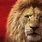Simba New Lion King