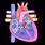 Simplified Heart Diagram