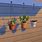 Sims 4 Hanging Succulents