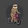 Sloth On a Bike