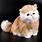 Small Cat Plush