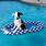Small Dog Pool Float
