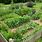 Small Herb Garden Ideas