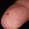 Smallest Microchip