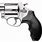 Smith and Wesson 357 Stainless Revolver