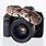 Snake with Camera