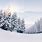 Snow Landscape Photography