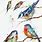 Songbird Watercolor Art