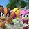 Sonic Boom Amy Rose and Sticks
