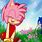 Sonic Hits Amy