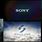 Sony Screen Gems