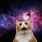 Space Cat Wallpaper 1920X1080