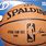 Spalding NBA Basketball Box