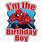 Spider-Man Birthday Boy Shirt