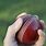 Spin Bowling Cricket