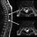 Spinal Cord MRI MS