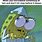 Spongebob Why Meme