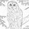 Spotted Owl Coloring Page