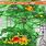 St. Louis MO Radar Weather Map