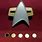 Star Trek Picard Insignia