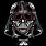 Star Wars Sugar Skull Designs
