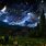 Starry Night Realistic