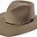 Stetson Felt Cowboy Hats for Men