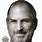 Steve Jobs Book by Walter Isaacson