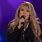 Stevie Nicks Sara