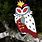 Stolas The Owl