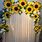 Sunflower Backdrops for Parties