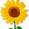 Sunflower Cartoon Picture