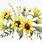 Sunflower and Daisy Clip Art