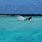 Surfing San Salvador Bahamas
