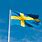 Swedish Flag Picture