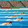 Swimming Race Clip Art