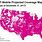 T-Mobile Coverage Areas Map