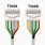 T568A Cable