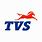 TVs Group Logo
