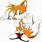 Tails the Fox From Sonic X