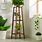 Tall Thin Plant Stand