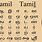 Tamil Nadu Language
